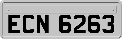 ECN6263
