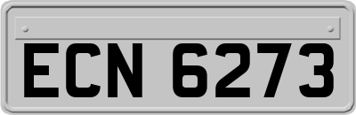 ECN6273