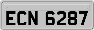 ECN6287