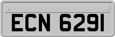 ECN6291