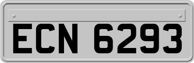 ECN6293