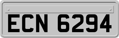 ECN6294