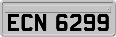 ECN6299