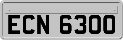 ECN6300