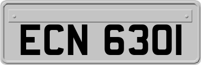 ECN6301