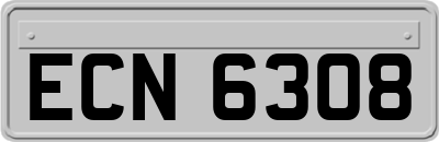 ECN6308