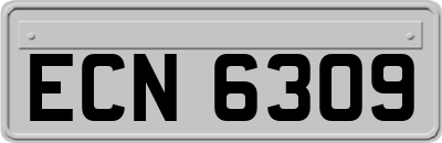 ECN6309