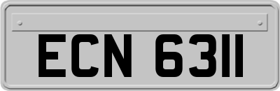 ECN6311