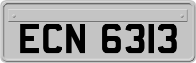 ECN6313
