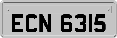 ECN6315