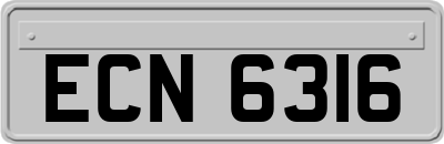 ECN6316