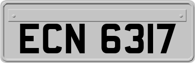 ECN6317