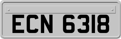 ECN6318