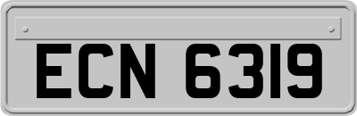 ECN6319