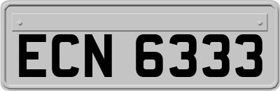 ECN6333