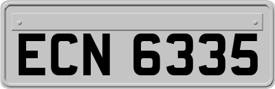 ECN6335