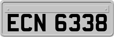 ECN6338