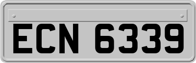 ECN6339