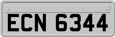 ECN6344