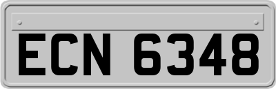 ECN6348