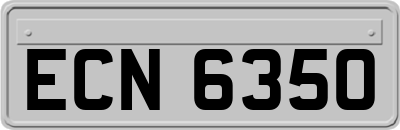 ECN6350