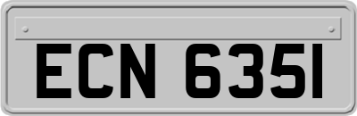 ECN6351