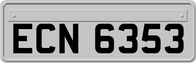 ECN6353