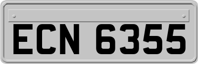 ECN6355