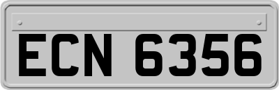 ECN6356