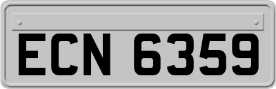 ECN6359
