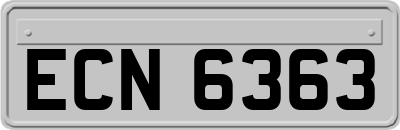 ECN6363