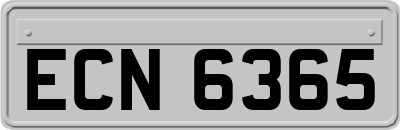 ECN6365