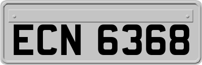ECN6368