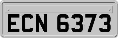 ECN6373