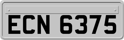 ECN6375