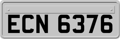 ECN6376