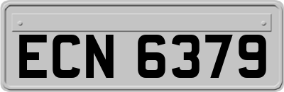 ECN6379