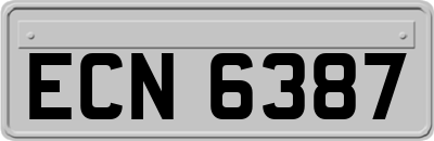 ECN6387
