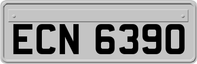 ECN6390