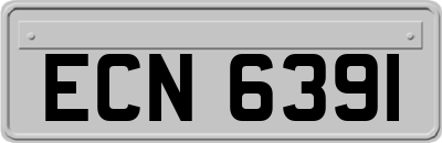 ECN6391