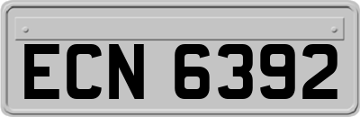 ECN6392