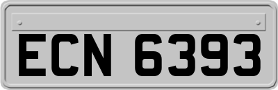 ECN6393