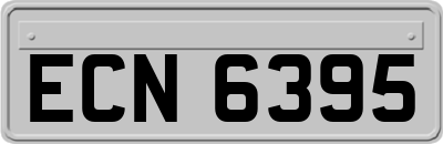 ECN6395