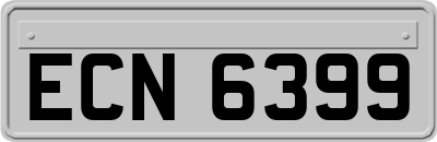 ECN6399