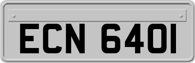 ECN6401