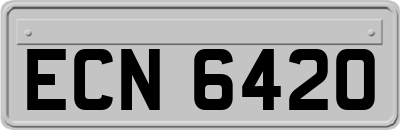 ECN6420