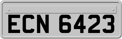 ECN6423