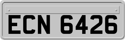 ECN6426