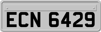 ECN6429