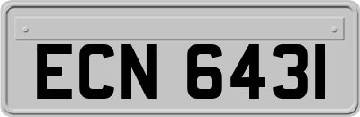 ECN6431
